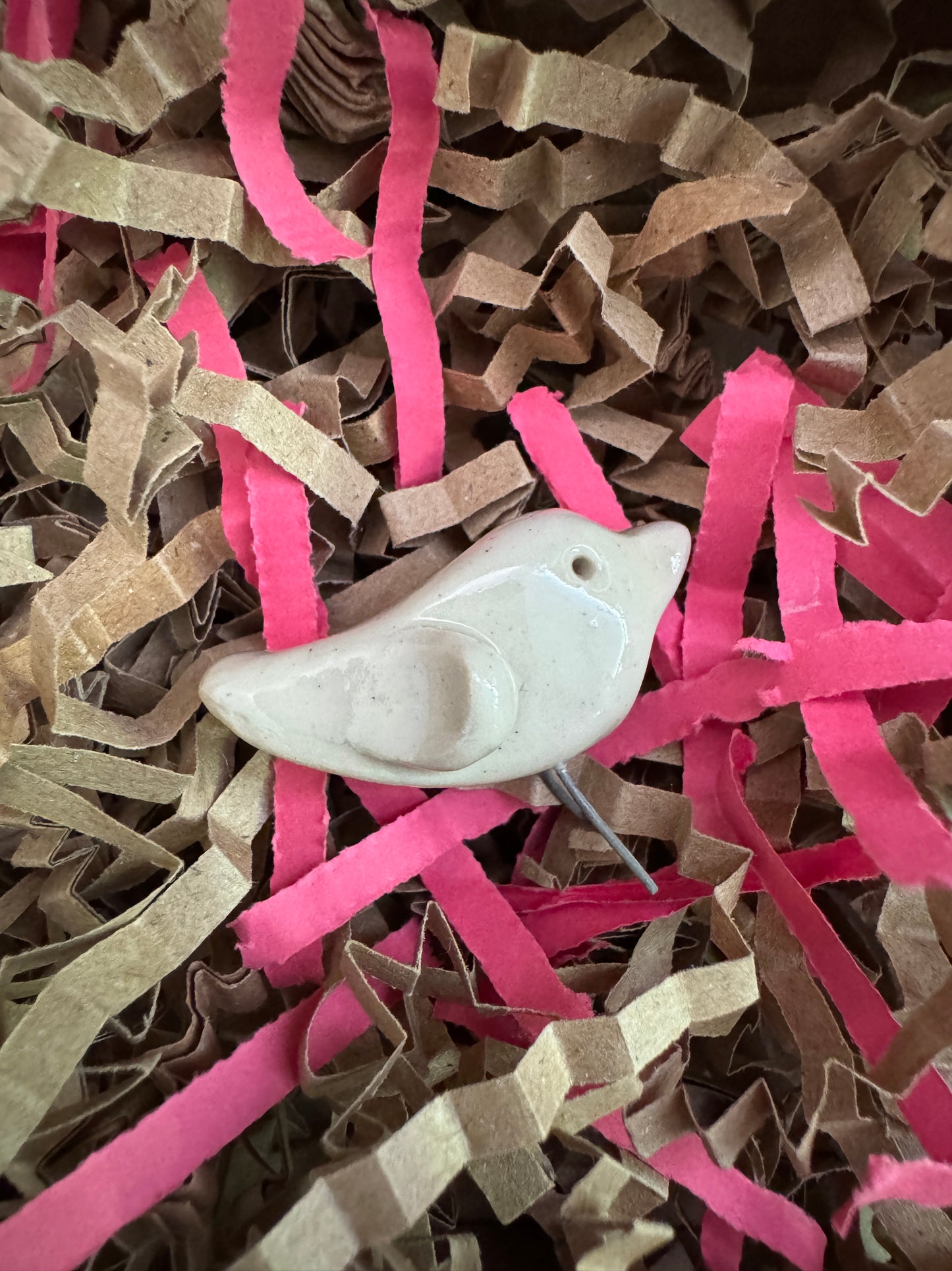Spring birds