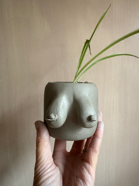 Boobies for beginners