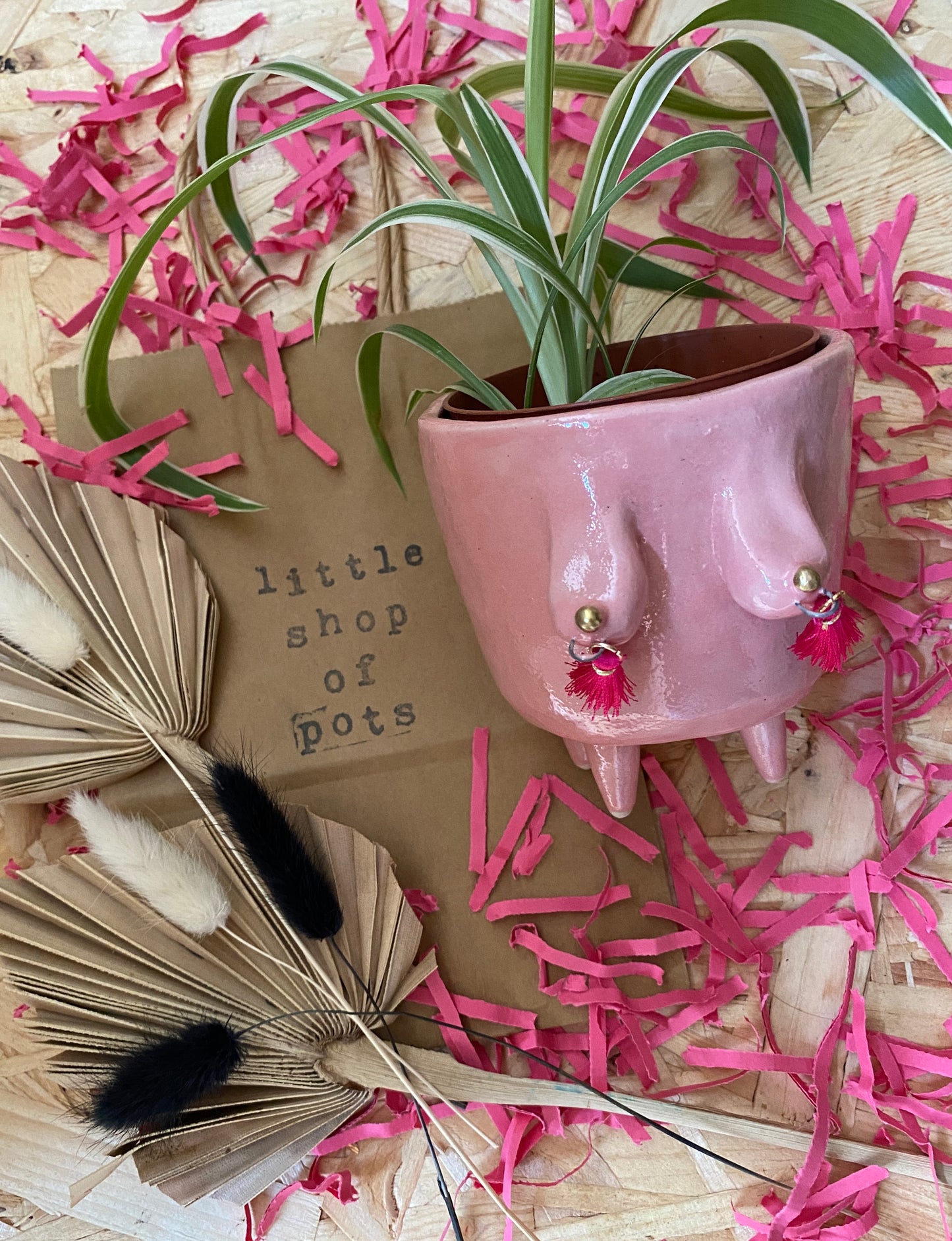 Boobie standing planter (pink)