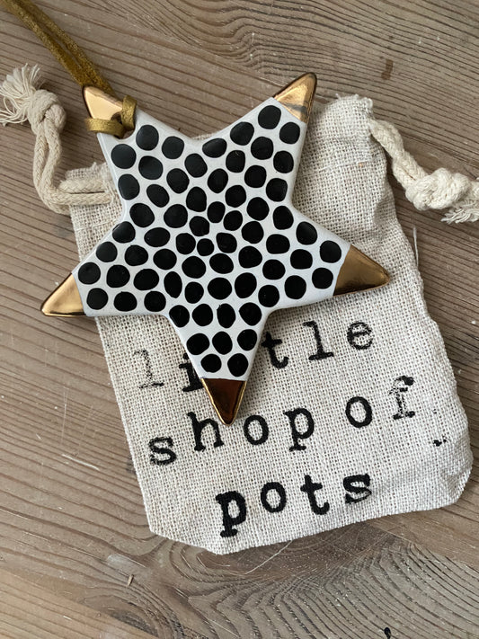 Christmas star (Spotty with gold points)