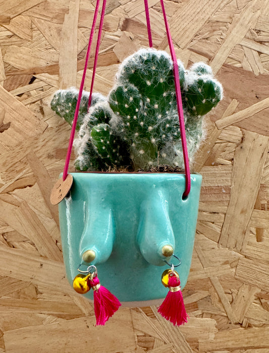 Hanging boobie planter (turquoise)
