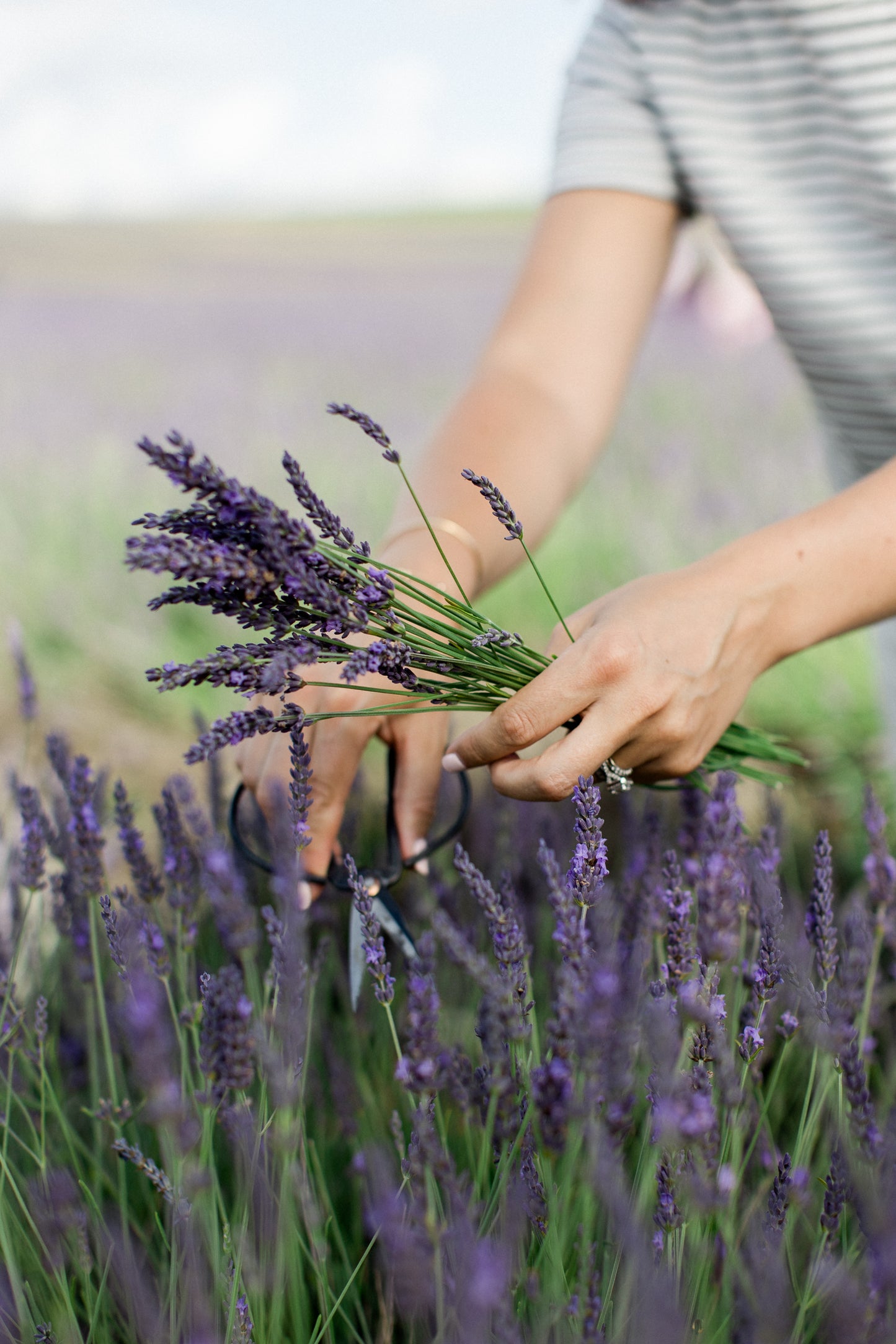 Design your own lavender vase