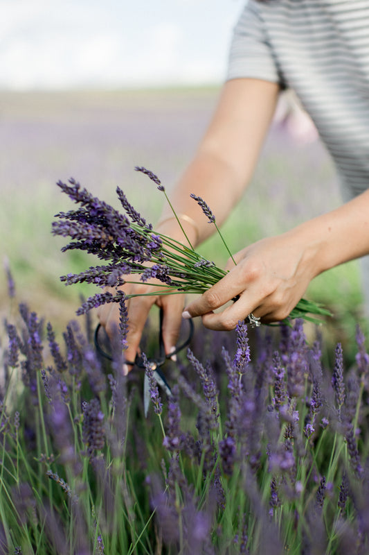 Design your own lavender vase