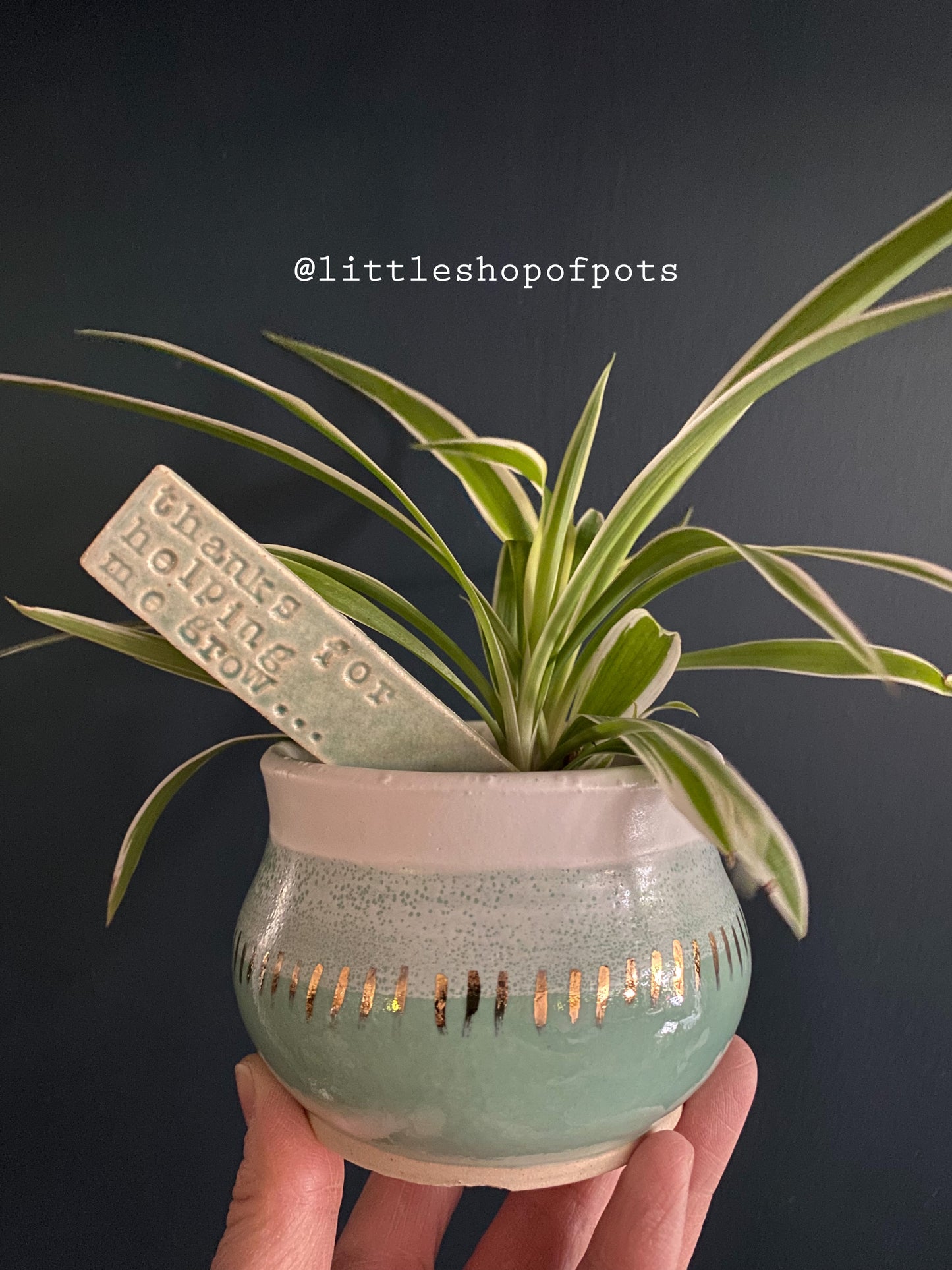 THANKS FOR HELPING ME GROW - plant label
