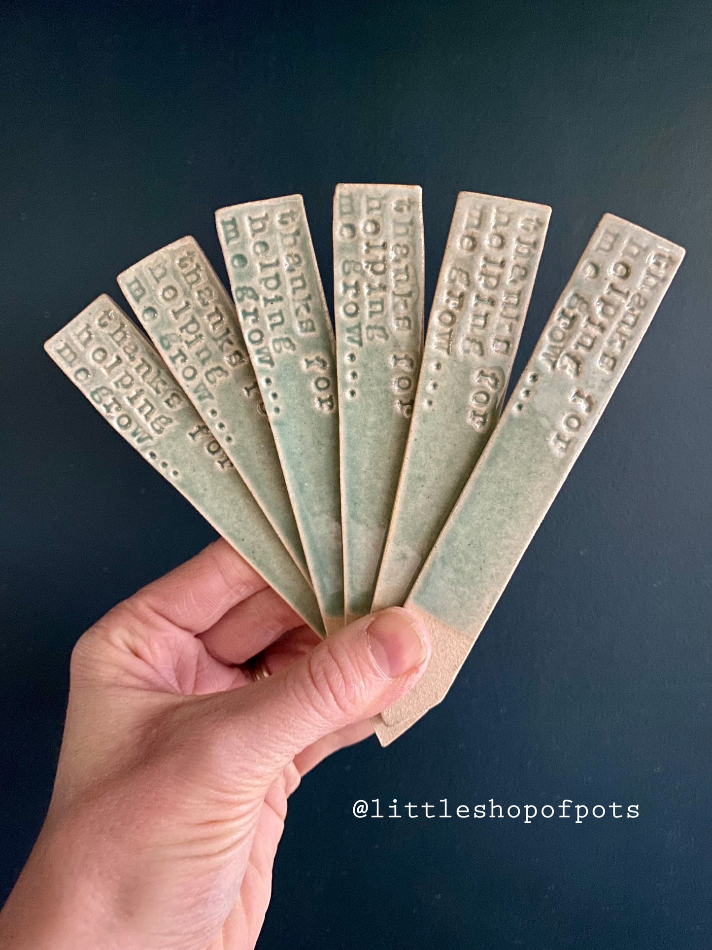 THANKS FOR HELPING ME GROW - plant label