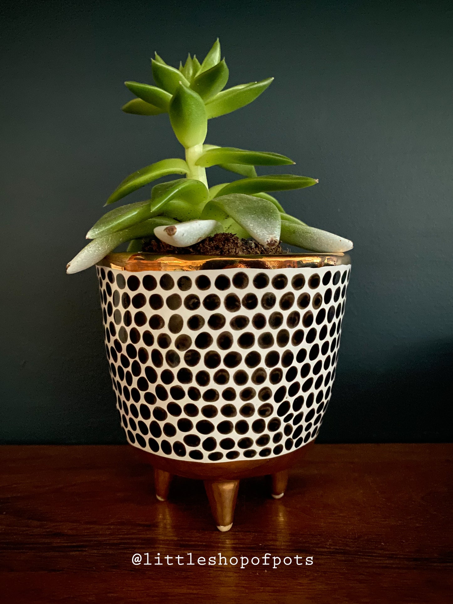 Spotty standing planter