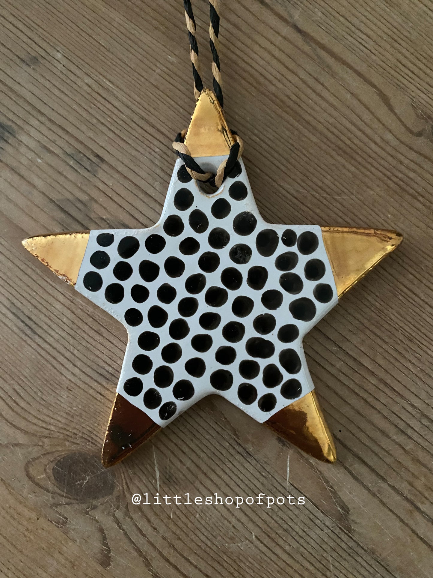 Christmas star (Spotty with gold points)